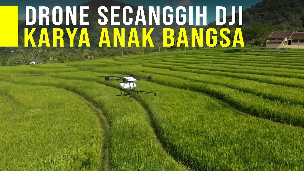 Drone Karya Anak Bangsa Secanggih DJI Bantu Kerja Petani Lebih Efisien