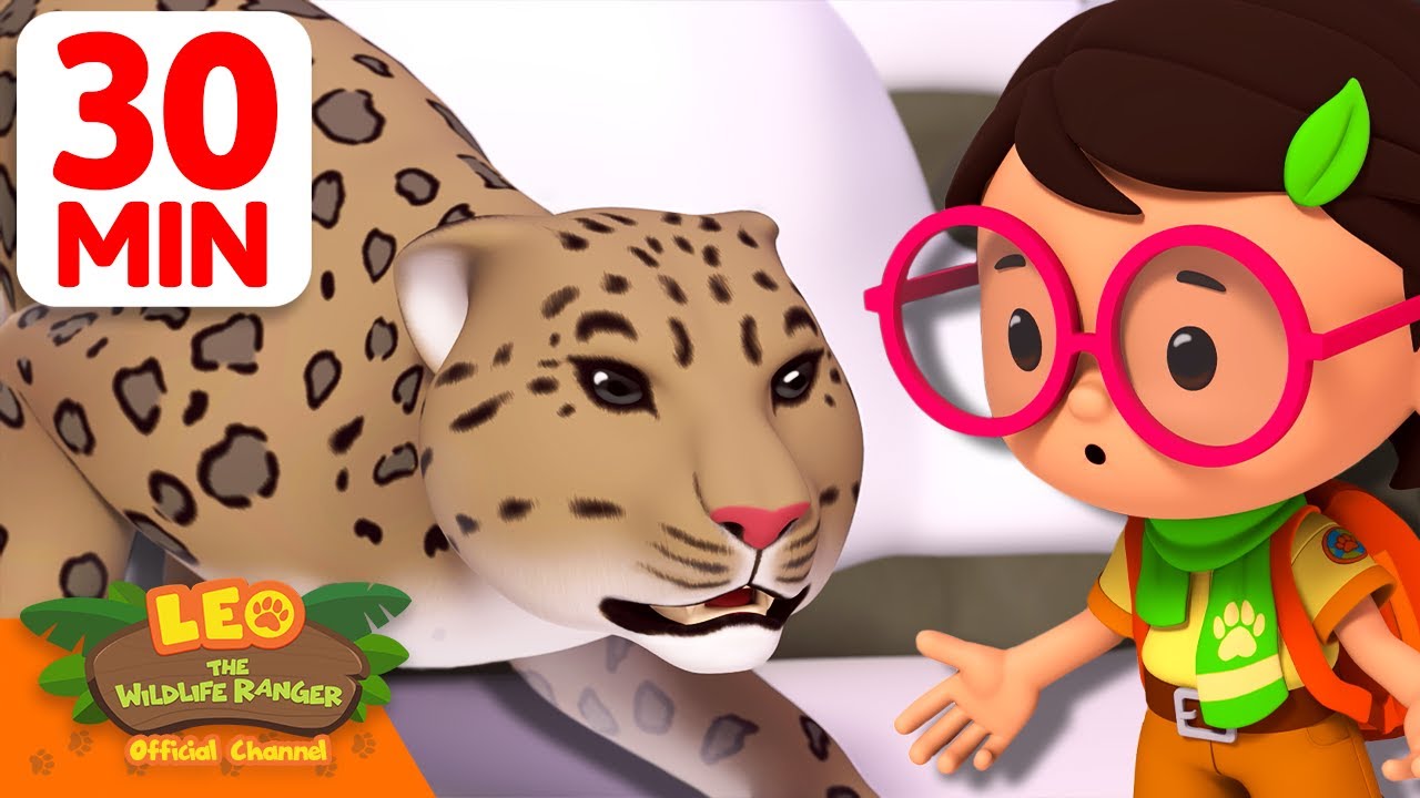 Rangers Rescue a Scary Snow Leopard! 🐆❄️ | 30 Min | Leo the Wildlife Ranger | #animals