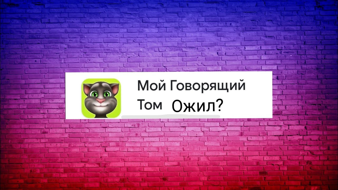 Мой Говорящий Том, живой? Поговорила с ним в 3:00 ночи. Правда или ложь?