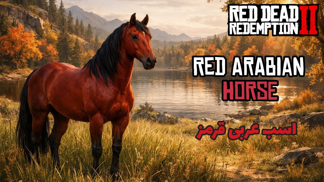 🤠💀🐎وقتی اسب شلیلی رنگ رو برای خودت می کنی 🐎💀🤠 | Red Arabia | Red Dead Redemption 2