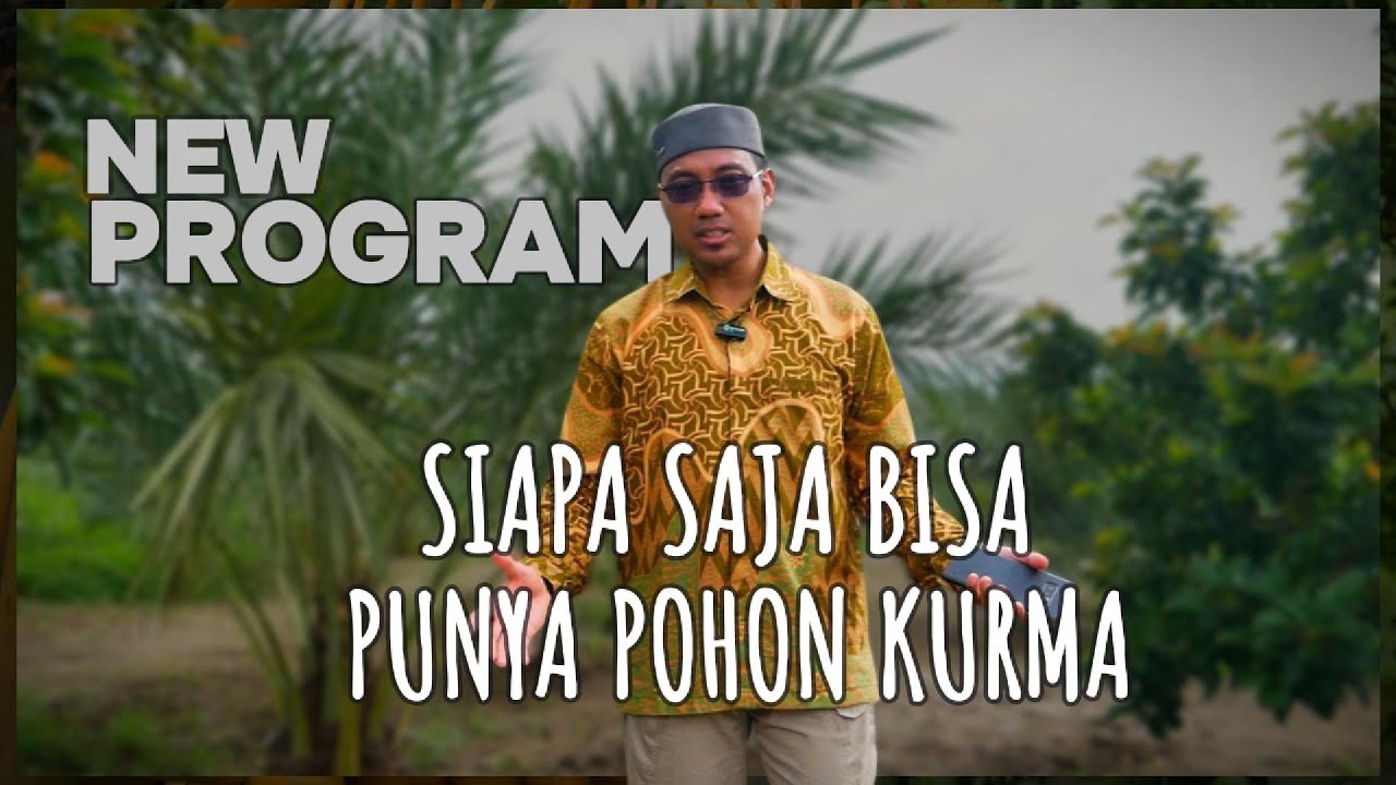 Dengan Program ini Semua Bisa Mempunyai Pohon Kurma dan Berbuah!!
