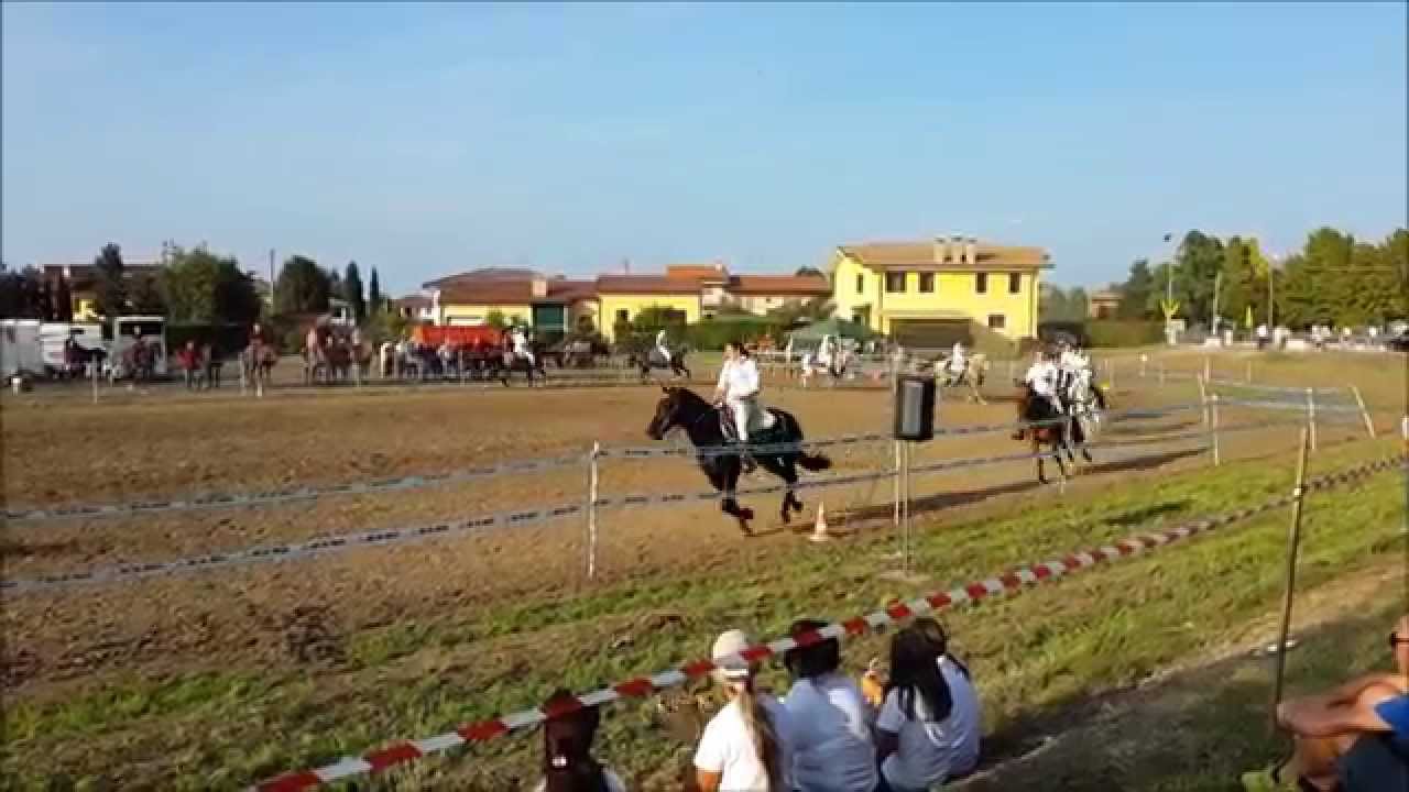 Ottovolante - Evoluzioni sincronizzate a cavallo