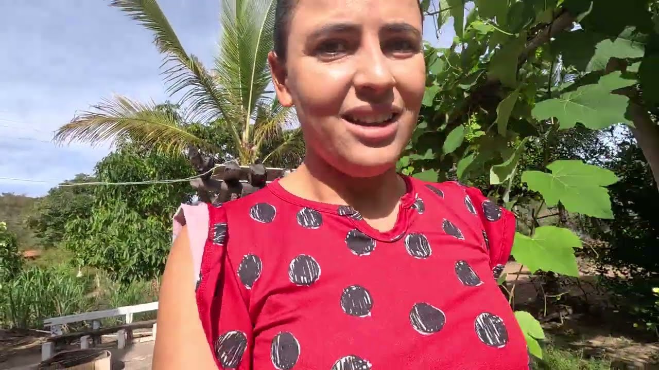 Você largaria tudo para viver nesse paraíso?