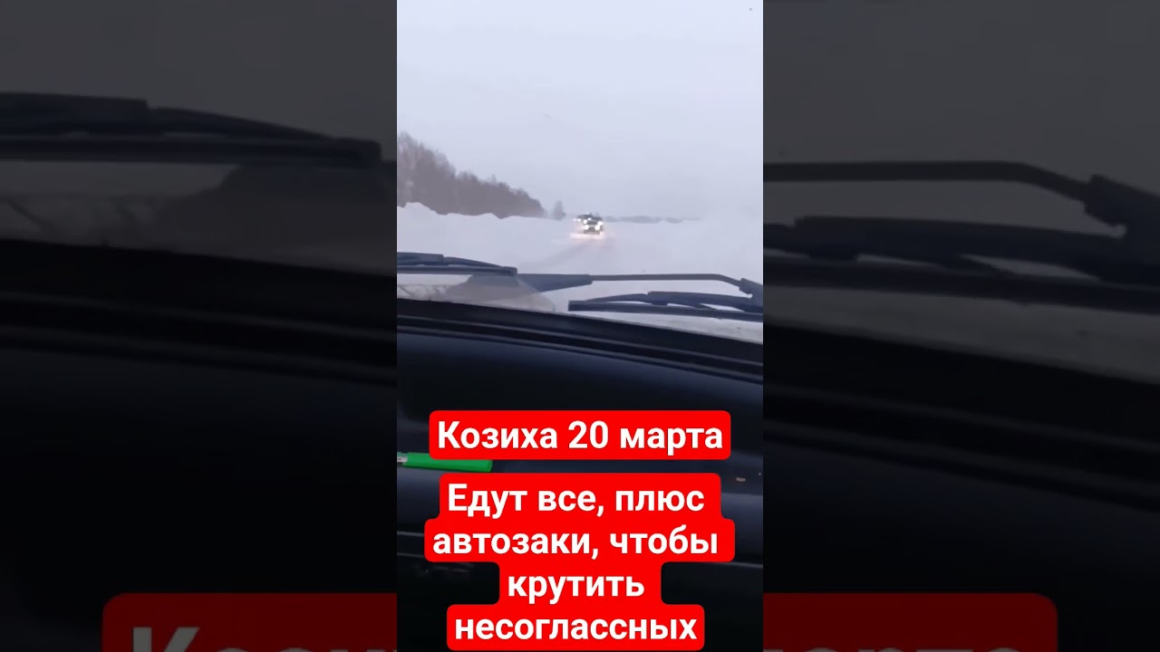 Козиха. Едут заметать следы преступления. Едут автозаки, чтобы крутить несоглассных.