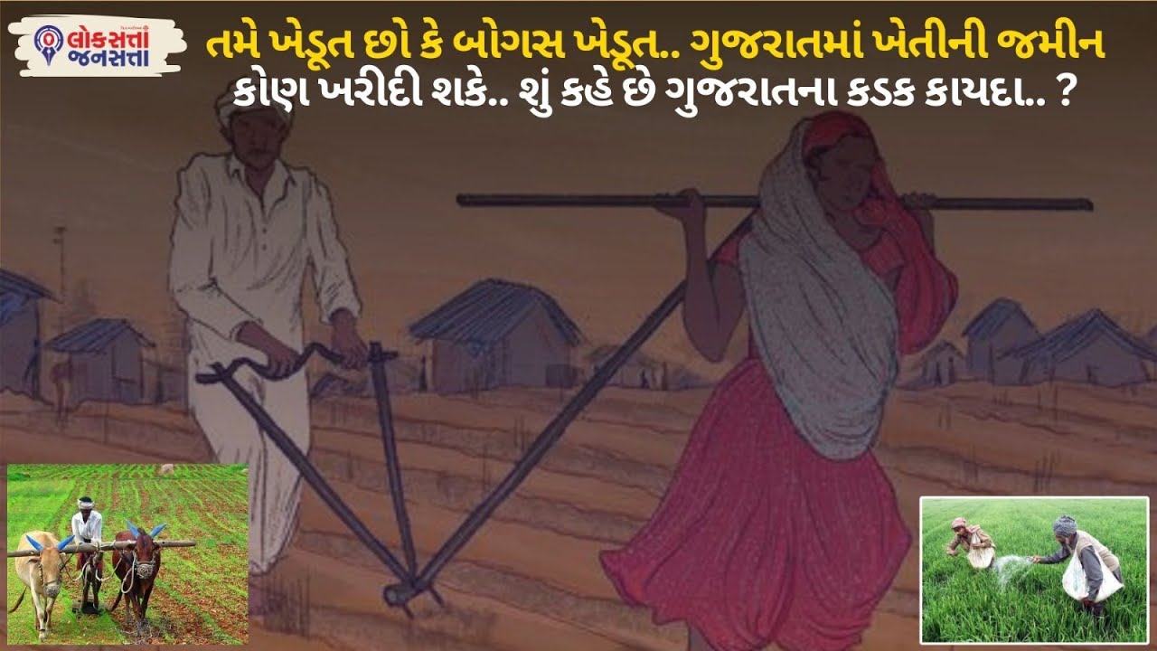 Gujarat Land Purchase Laws 2025:ગુજરાતમાં ખેતીની જમીન કોણ ખરીદી શકે? શું કહે છે ગુજરાતના કડક કાયદા ?