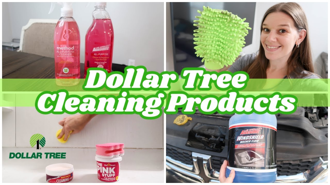 TESTING DOLLAR TREE CLEANING PRODUCTS 2023