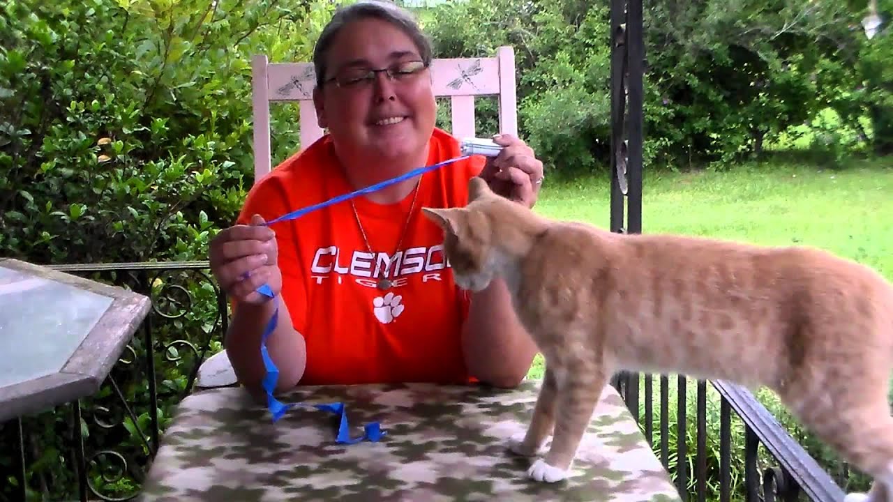 Cotton68spc sent me a surprise!