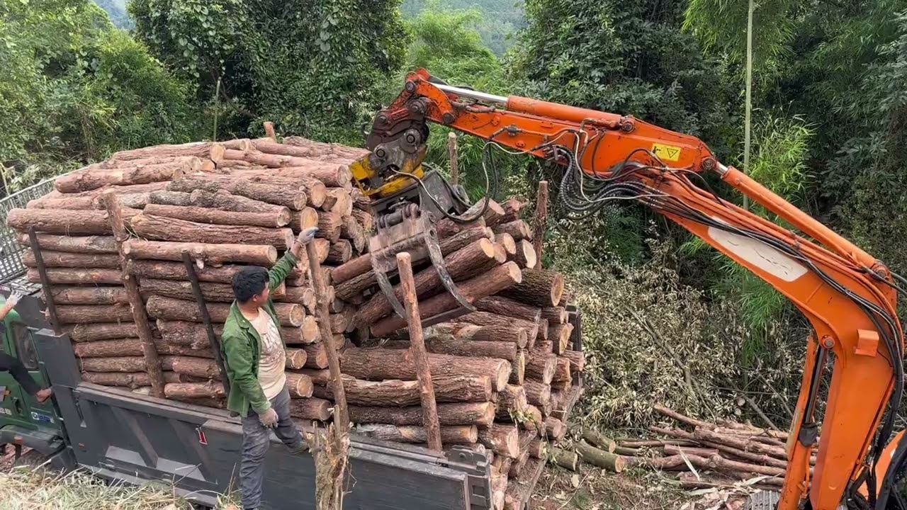 Truck carrying wood on dangerous hilly road