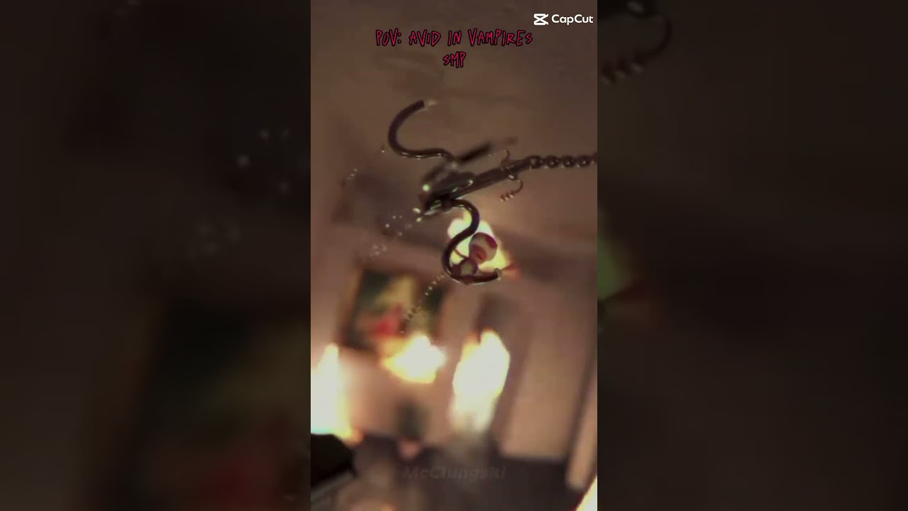 POV: Avid in Vampires SMP 