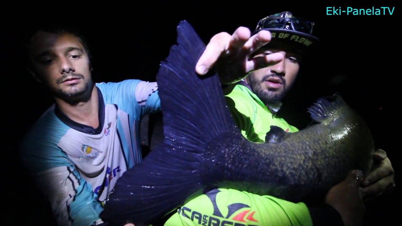 C&Oacute;RREGO DAS ANTAS - Eki-Panela ft.Amental Fishing 5/5 - FINAL