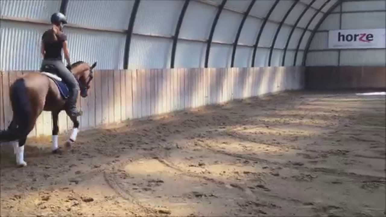 Training with Gyula Dallos 2014. 09.09.