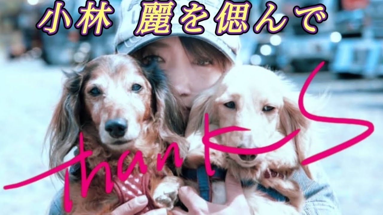 れいちんを法要して抱擁しよう！