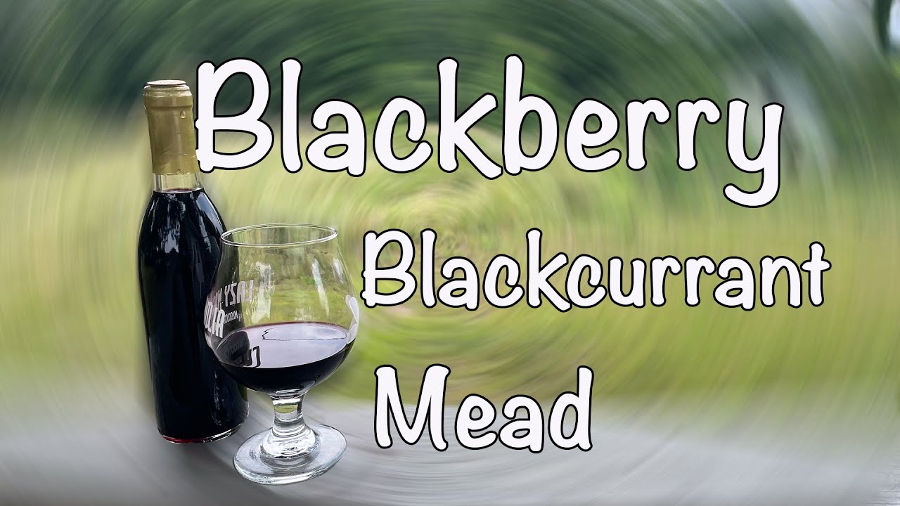 Blackberry Blackcurrant Mead // Start to Tasting