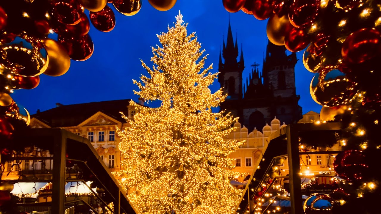 Vánoce 2025 🌲 