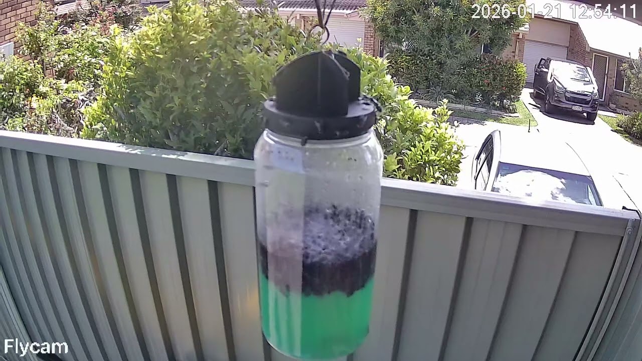 Fly Cam 2 Day 5