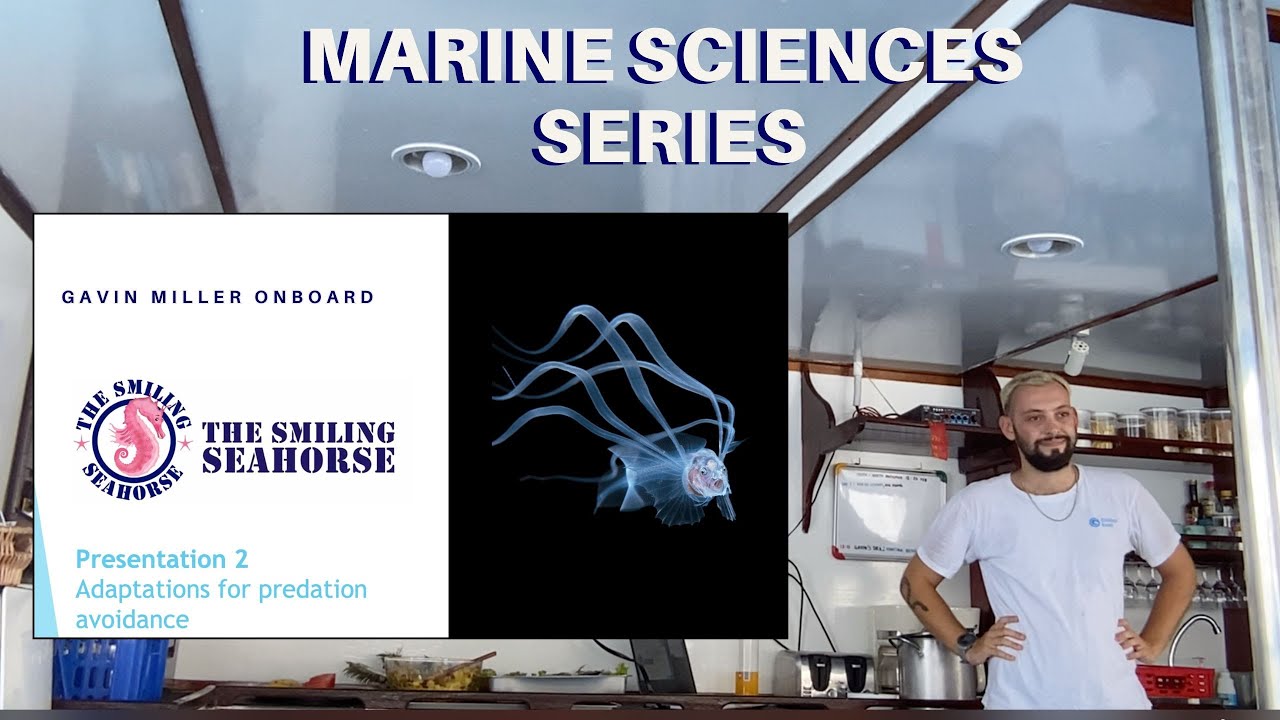Marine Science: Predator Avoidance 2/7