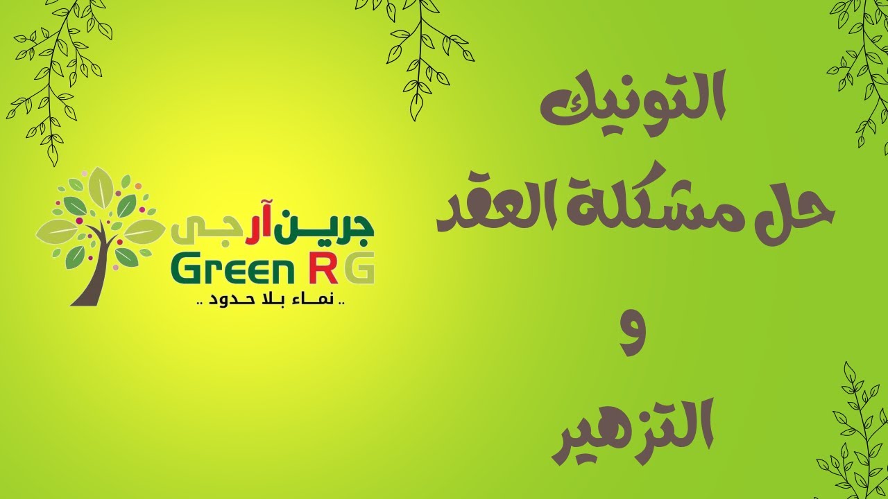 زيادة التزهير والعقد في النبات || شركة جرين ارجي للاسمدة والكيماويات