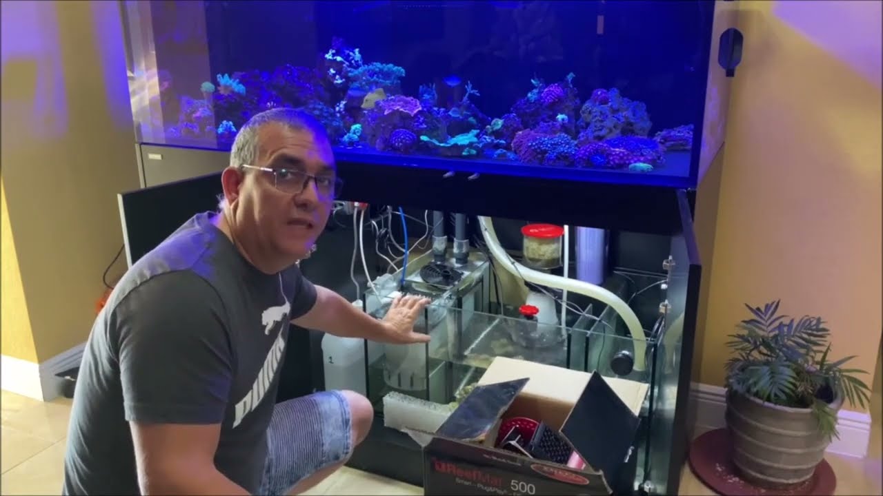 Red Sea Reefmat 500 installation on Waterbox  Frag 145.5 reef tank