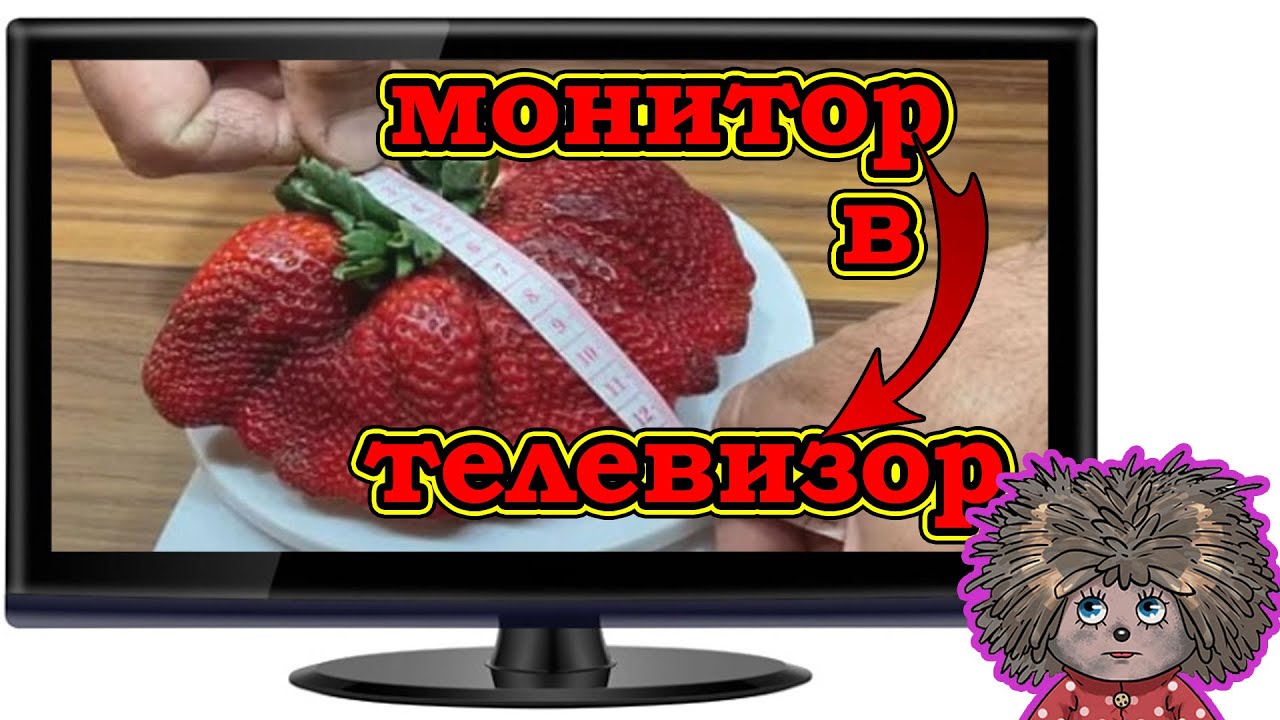 Инструкция из монитора сделать телевизор.