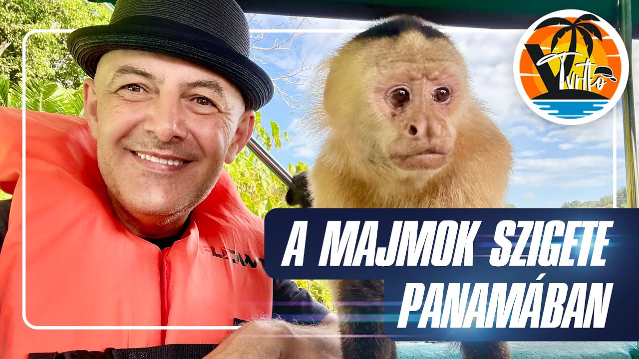 Aki beszéli a majmok nyelvét: Attila, a majomsuttogó.... avagy: elmentem a majmok szigetére...