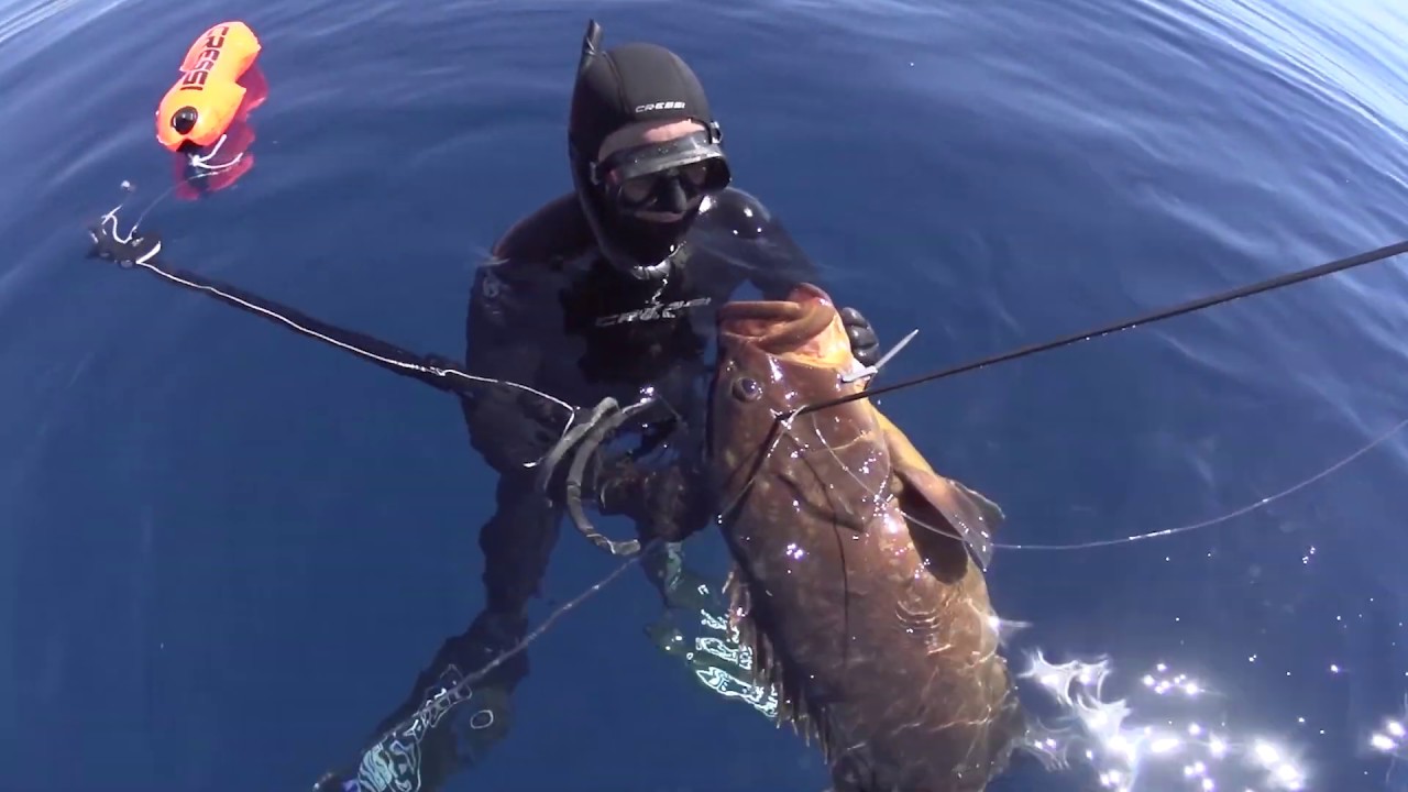 Tacticas pesca profunda La Polea