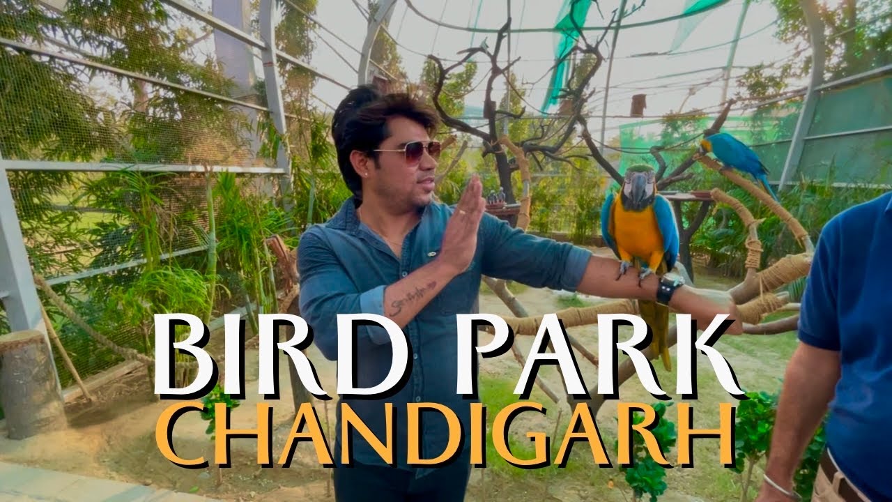 Bird Park Chandigarh #birdpark #chandigarhbirdpark