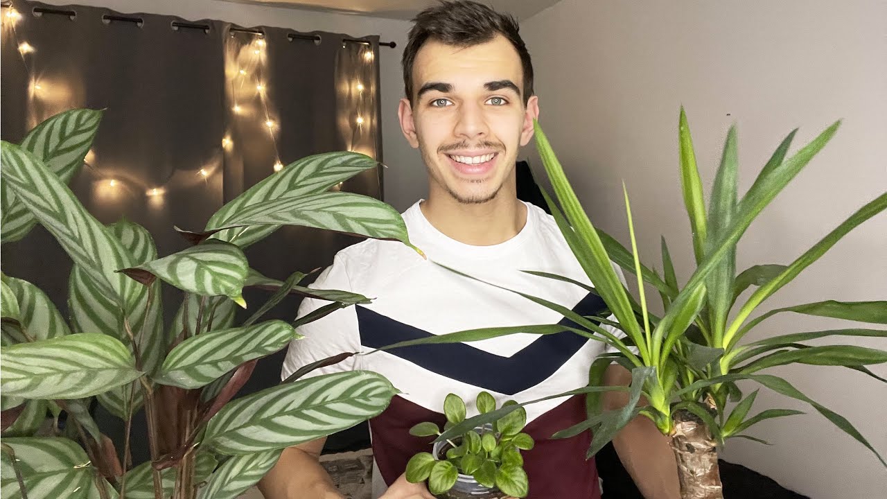 ASMR FR : Mes plantes