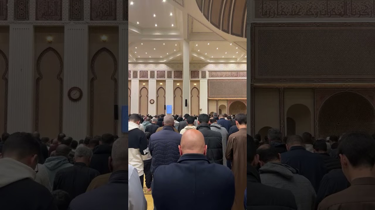 من سورة يونس | الشيخ أحمد كاسب نور الله بصيرته 