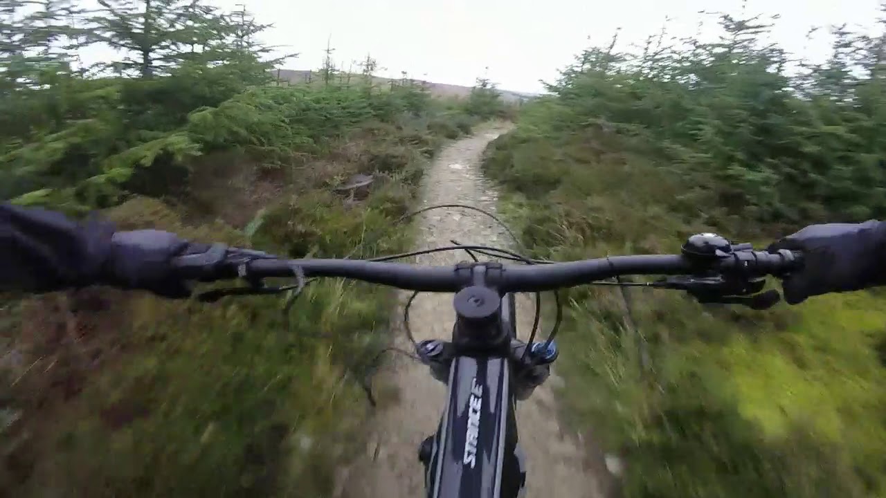 2020 Giant Stance E+1 EMTB