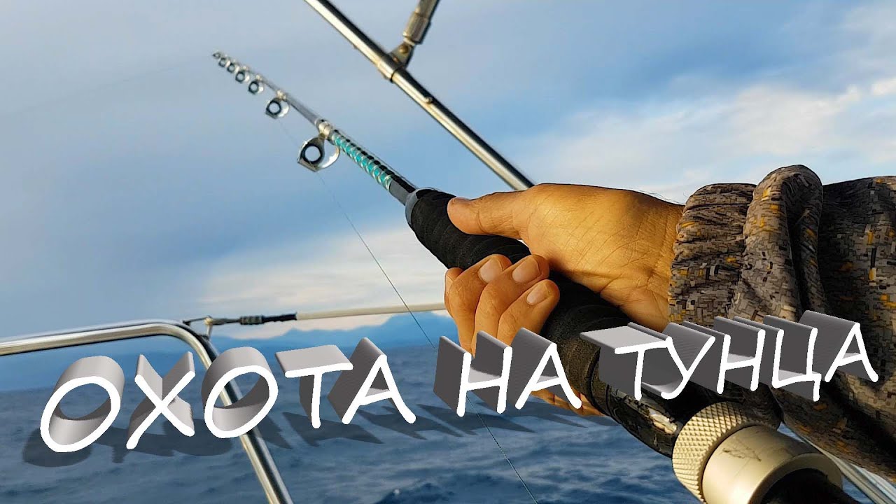 Рыбалка на тунца