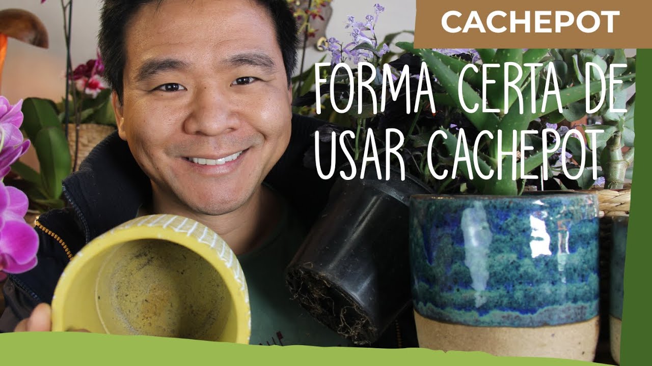 Cachepot - O certo e o errado no uso desses vasos sem furos.