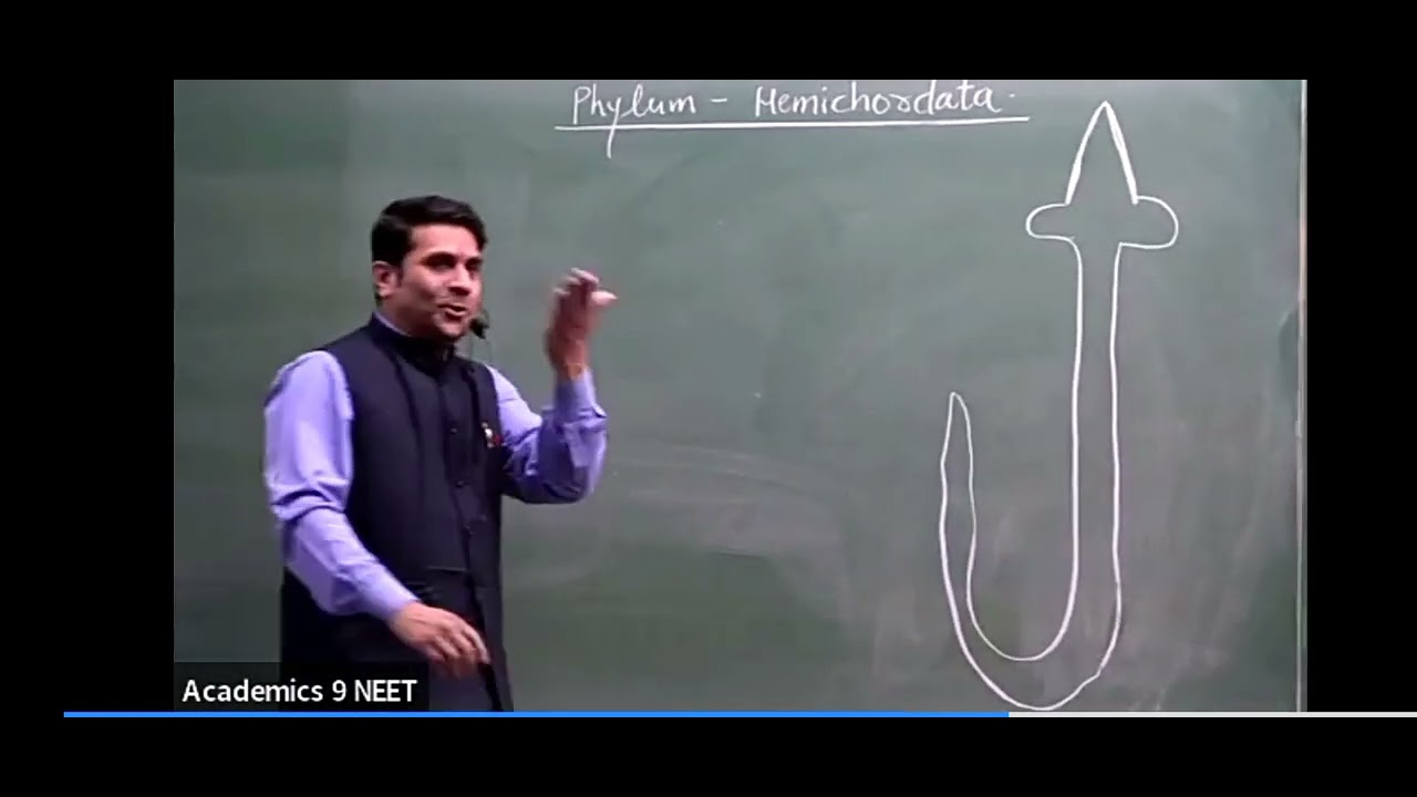 Boys Vs Girls #Dosti & Study By AB sir 🤩