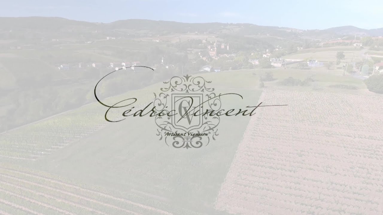 Vigneron….. Cedric Vincent à Pouilly le Monial