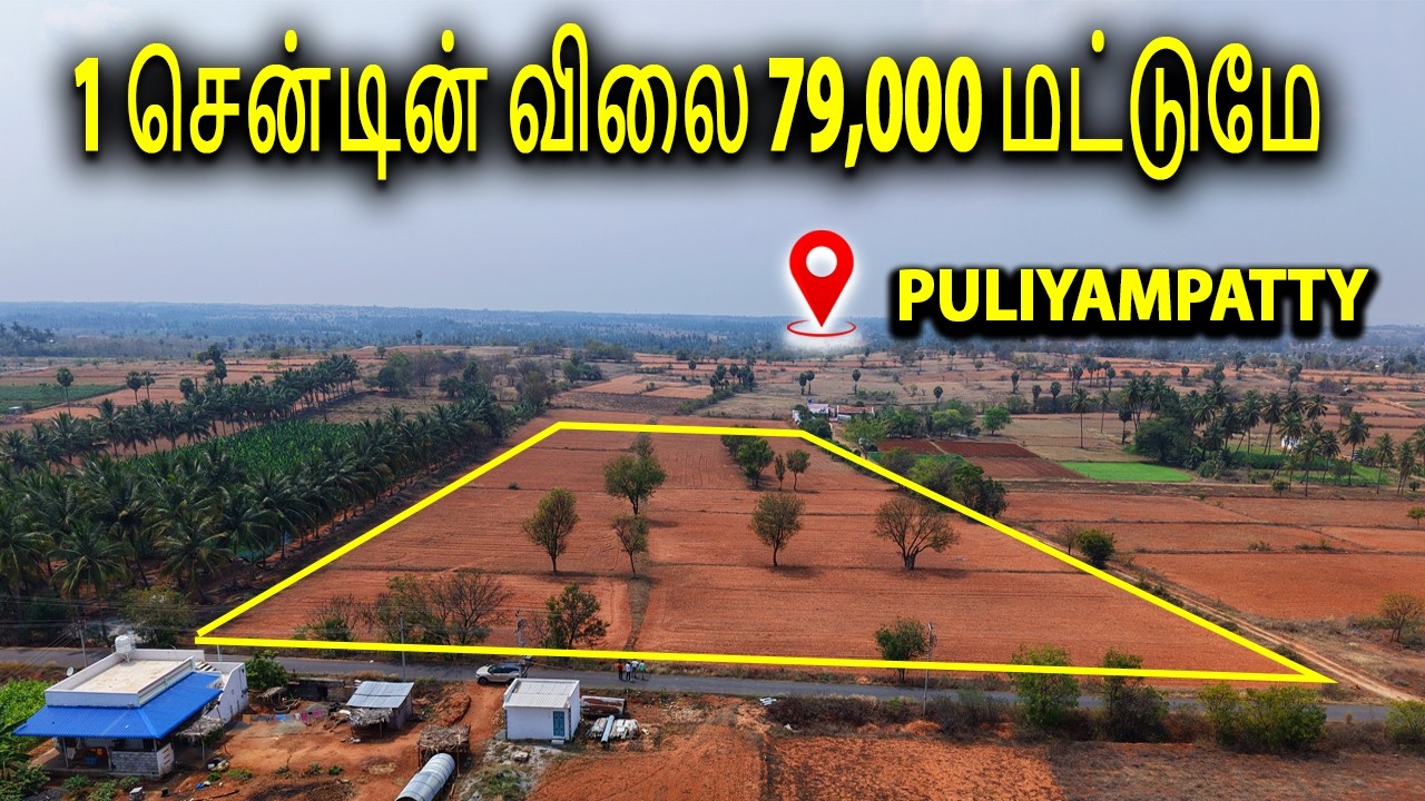 புளியம்பட்டி நம்பியூர் சாலையில் குறைந்த விலைக்கு நிலம் விற்பனைக்கு | LAND FOR SALE IN PULIYAMPATTI 😉