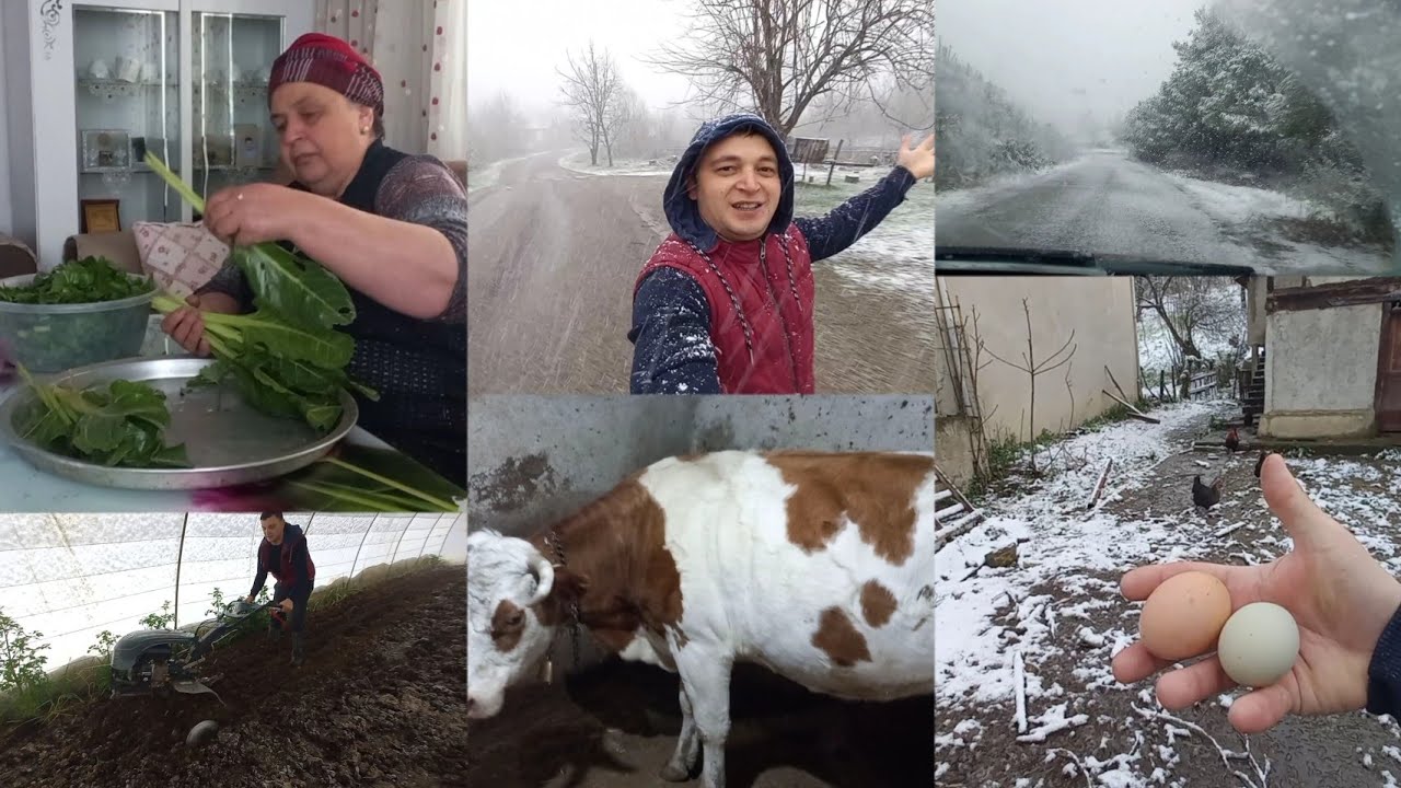 MART KARI🌲🌨DOĞAL YUMURTA~SERAYI SÜRDÜK KÖYDE YAŞAM