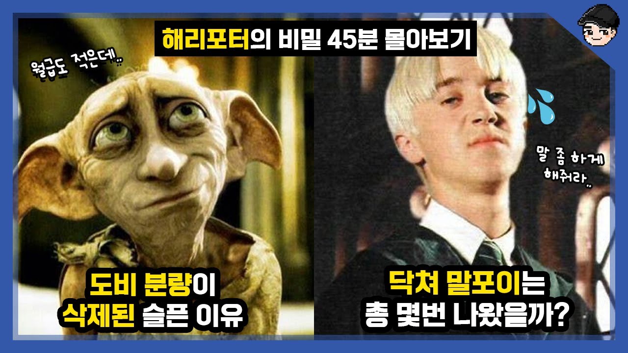 해리포터의 소름 돋는 비밀 TOP30 45분 몰아보기 특집 [빠퀴]