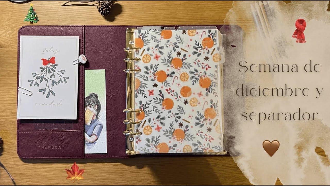 Empieza el invierno ❄️✨ | Tercera semana de diciembre en la agenda