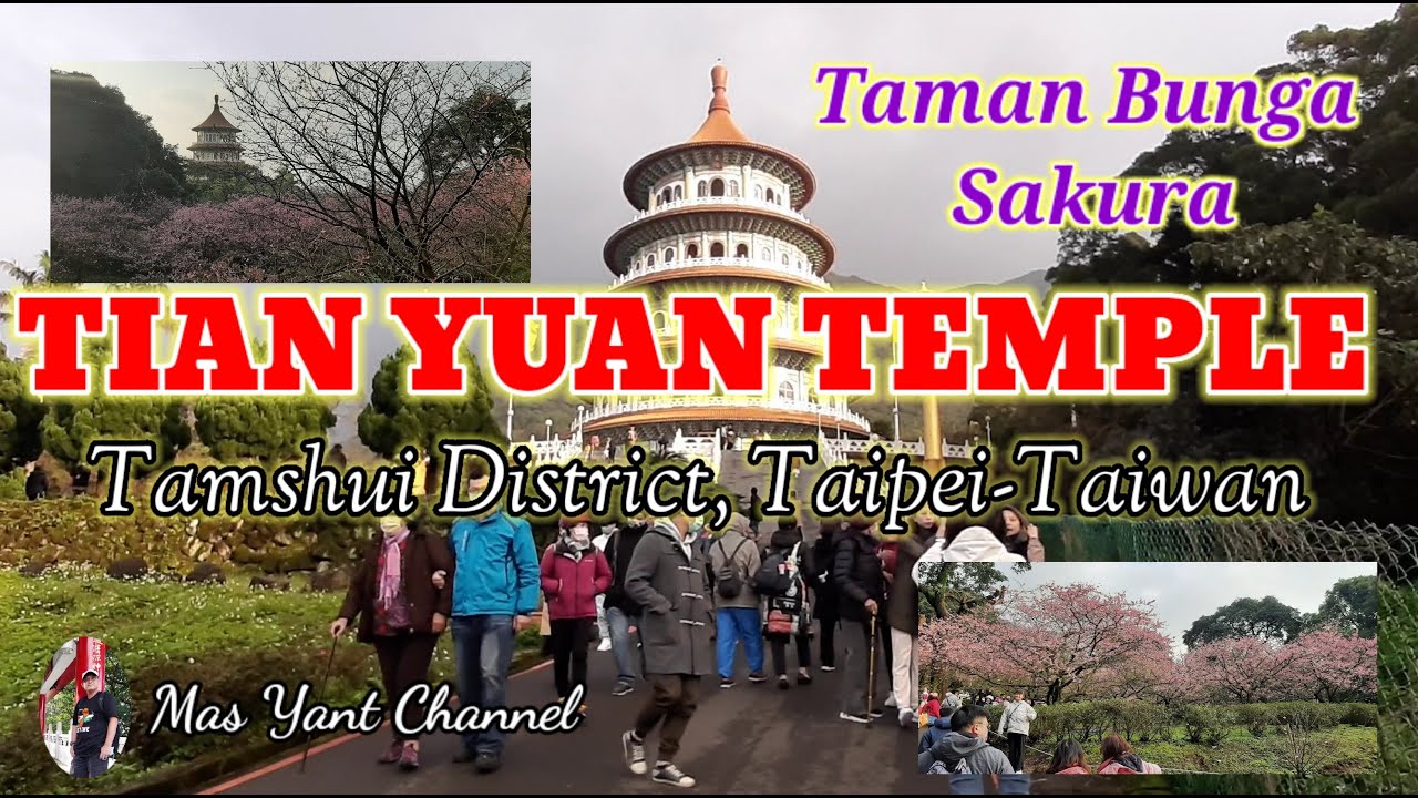 TAMAN SAKURA DI TIAN YUAN TEMPLE || TAMSHUI,TAIPEI-TAIWAN