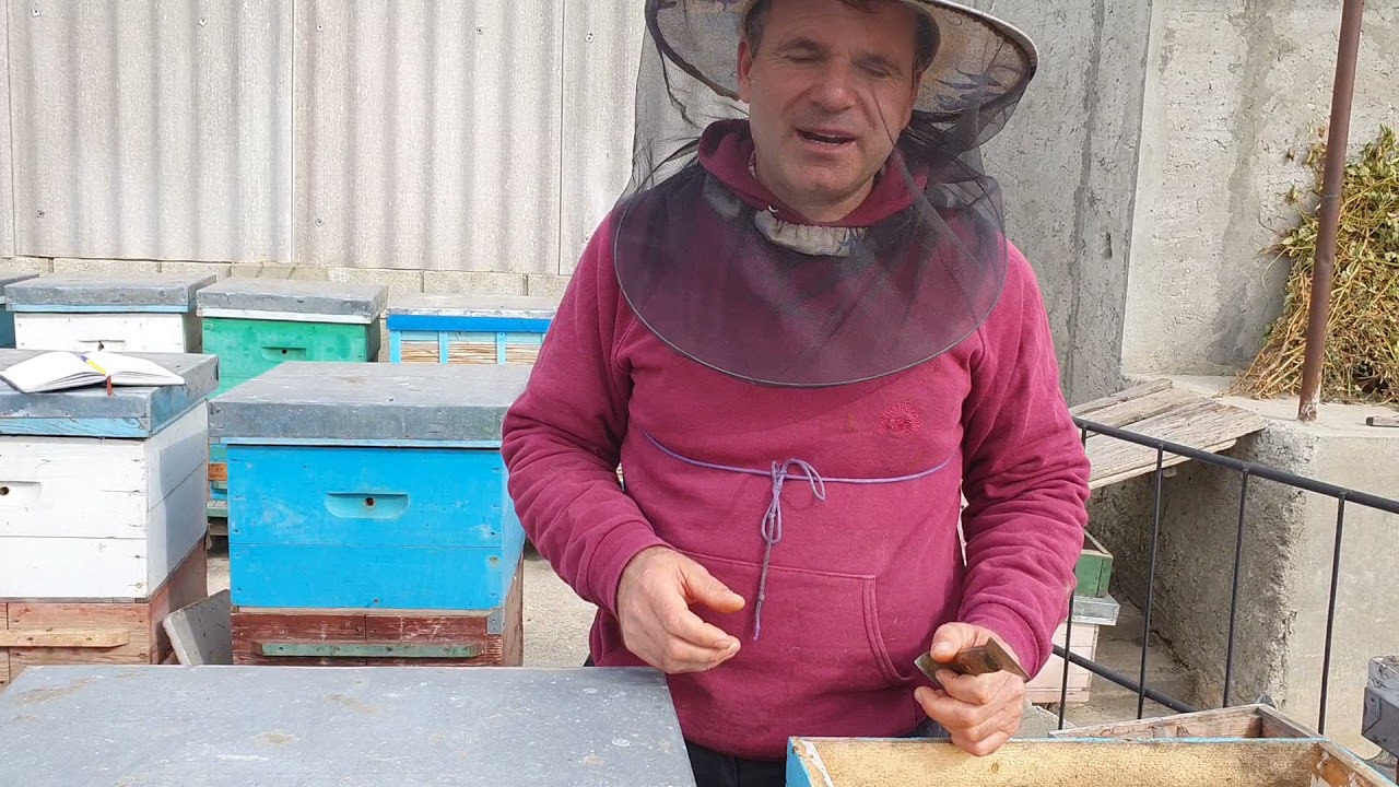 (13.10.2021) DOUĂ MĂTCI ÎNTR-UN STUP