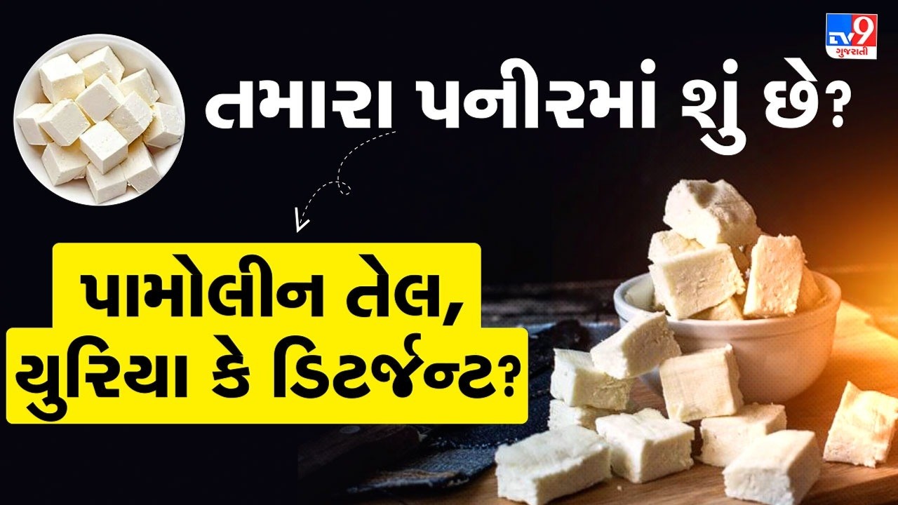 Surat : શહેરમાંથી 1400 કિલો શંકાસ્પદ પનીરનો જથ્થો જપ્ત | Gujarat | TV9Gujarati