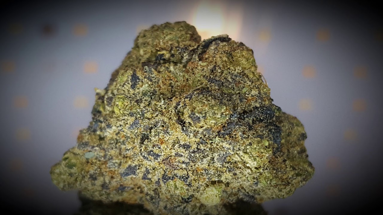 Pink Kush; Medical Cannabis Bud #shorts
