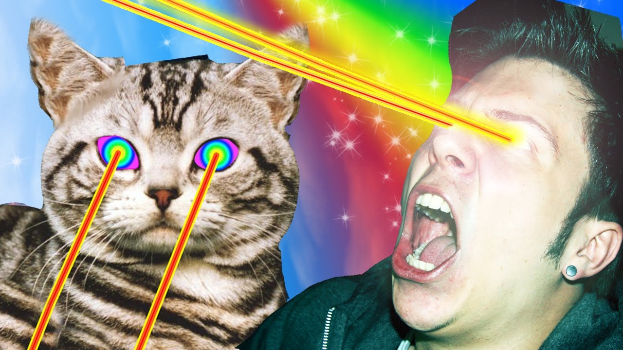 GATITOS TECHNO AWESOME CON EPILEPSIA