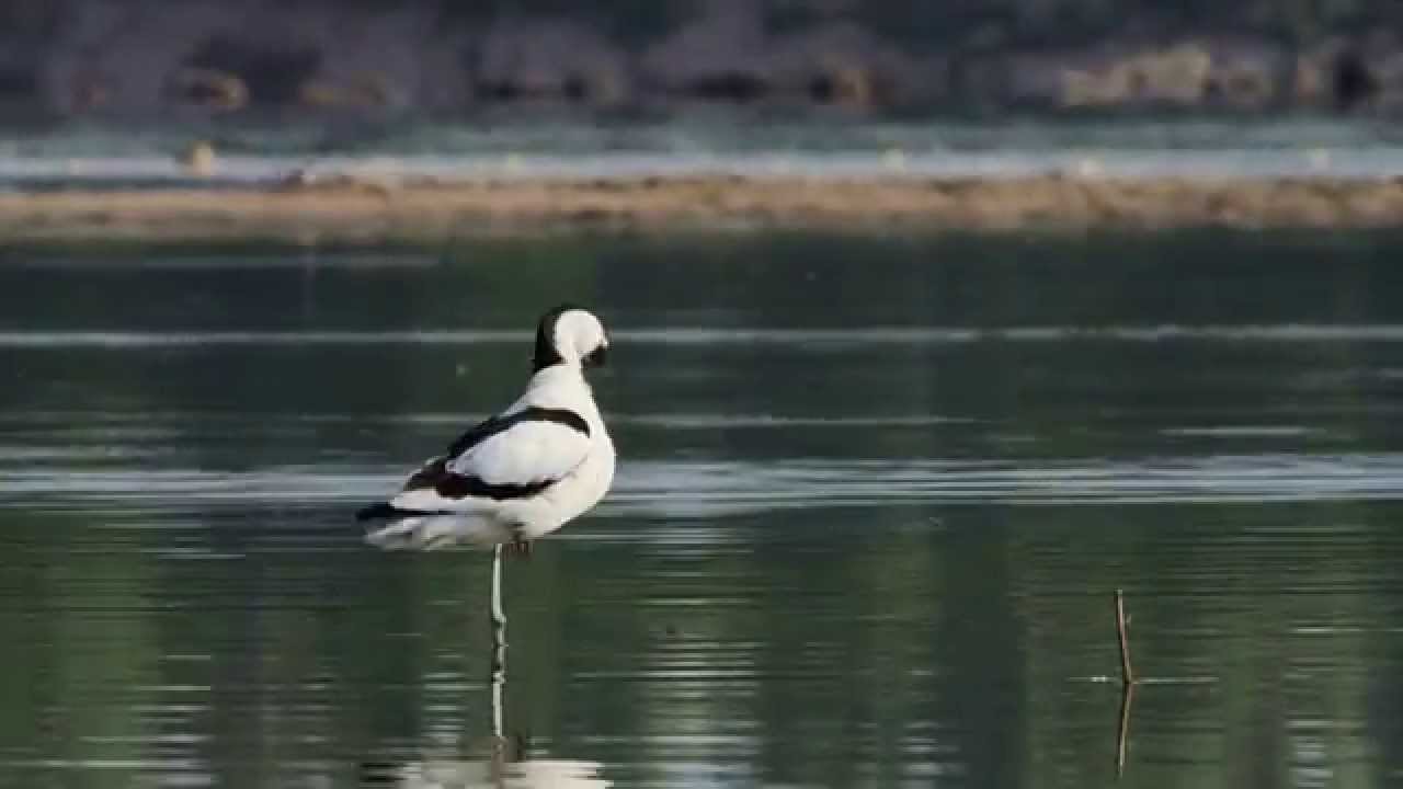 Dolina Środkowej Wisły