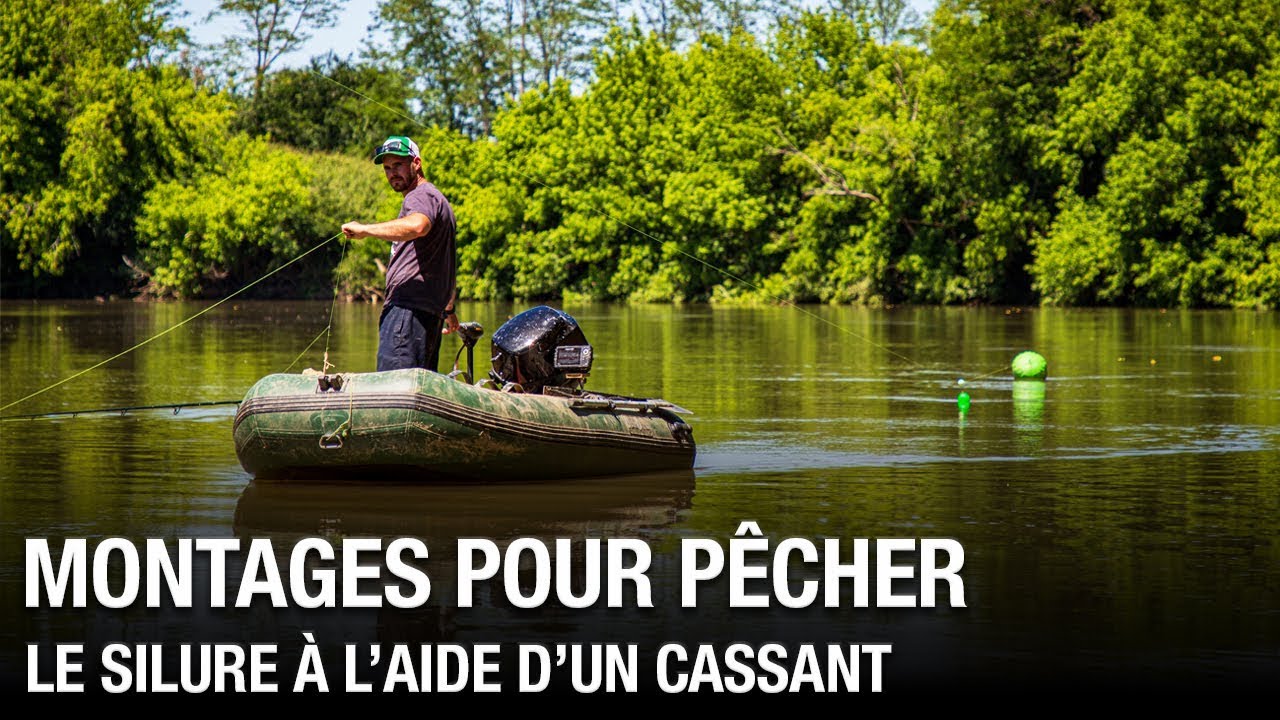 Montages pour pêcher le silure à l'aide d'un cassant
