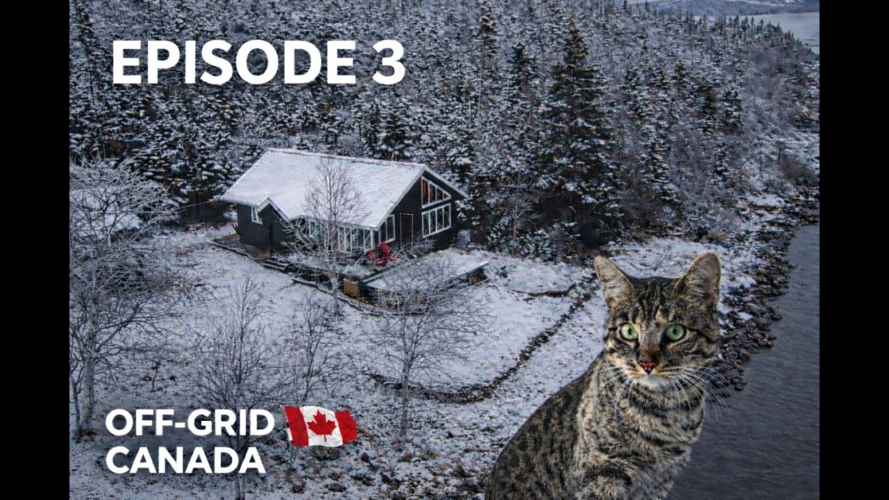 Bonus Trip E3 | Newfoundland | November 2025