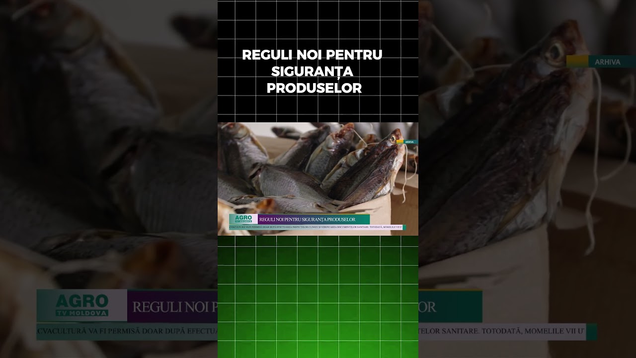 REGULI NOI PENTRU SIGURANȚA PRODUSELOR
