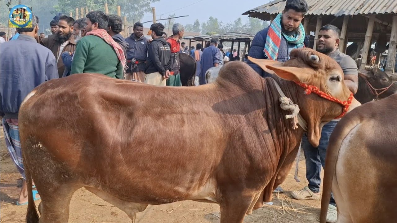 @ ১৬ ফেব্রু
