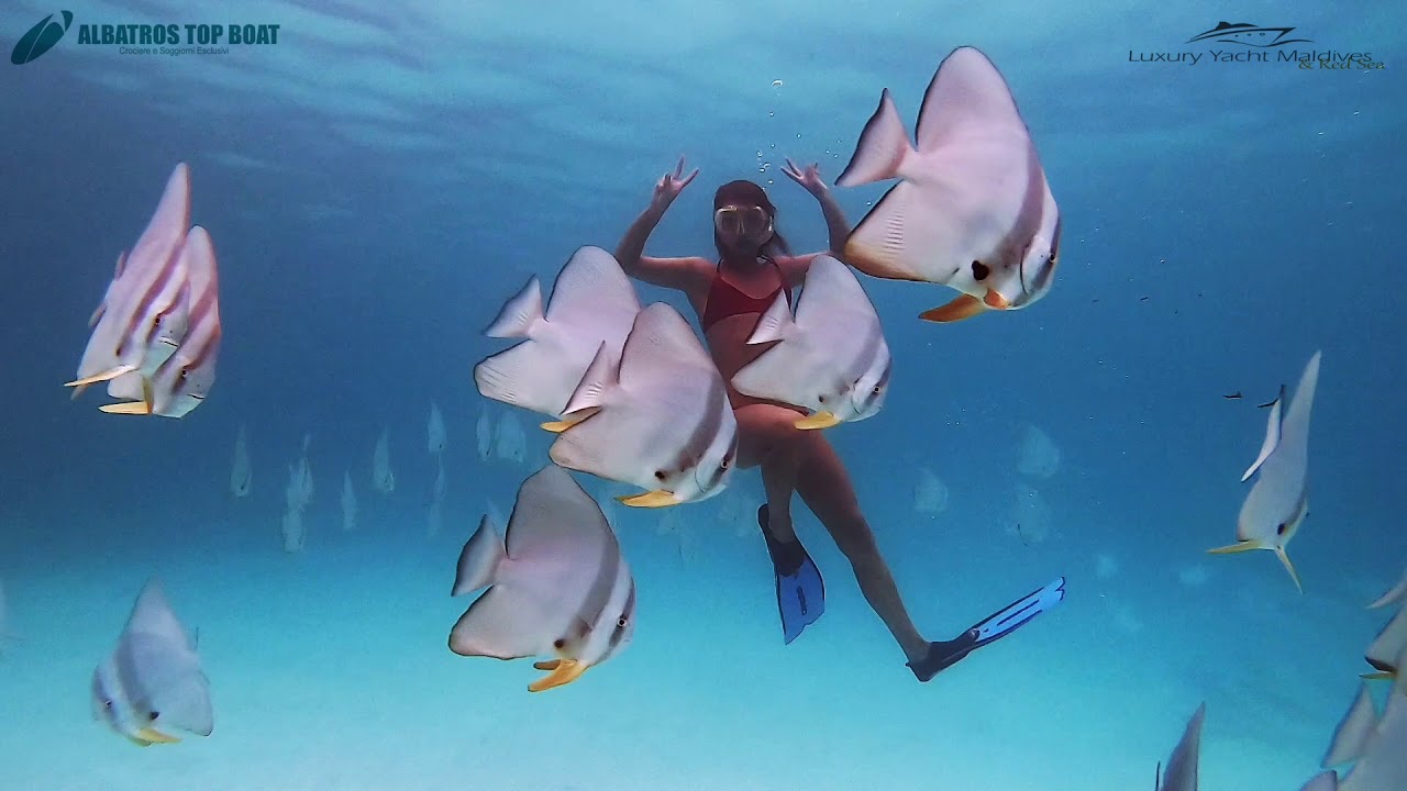 Snorkeling alle Maldive: un mare di emozioni per tutte le et&agrave;