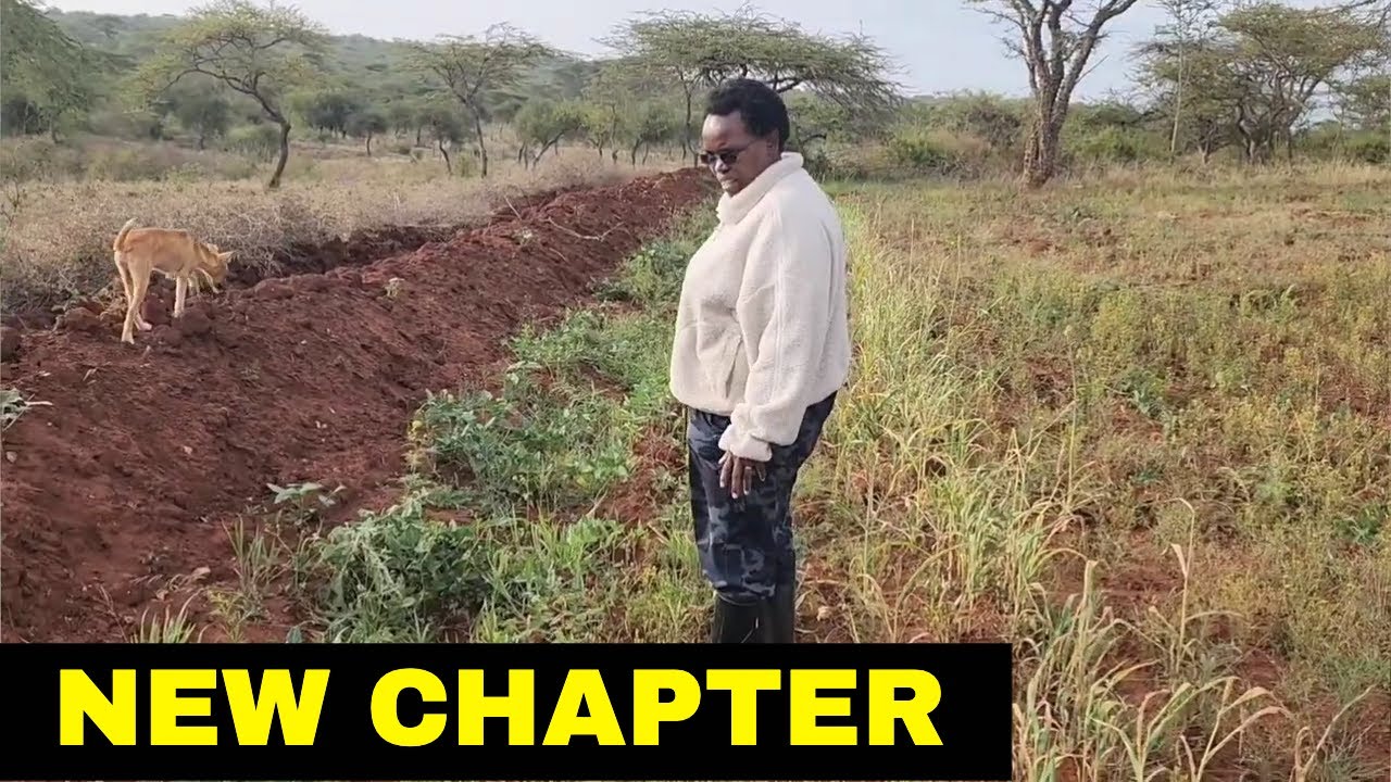 Building My Dream Farm While Working Full Time