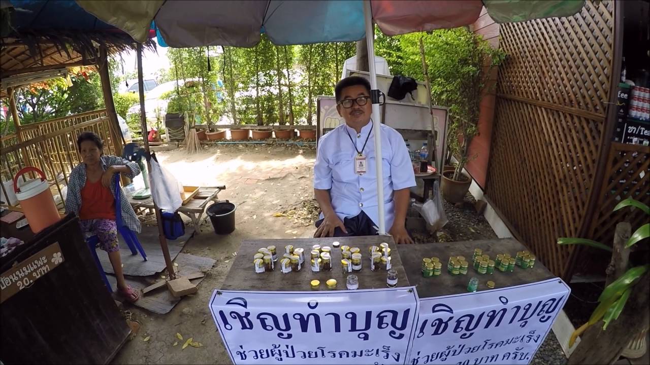 Elephant Village und Floating Market in Ayutthaya